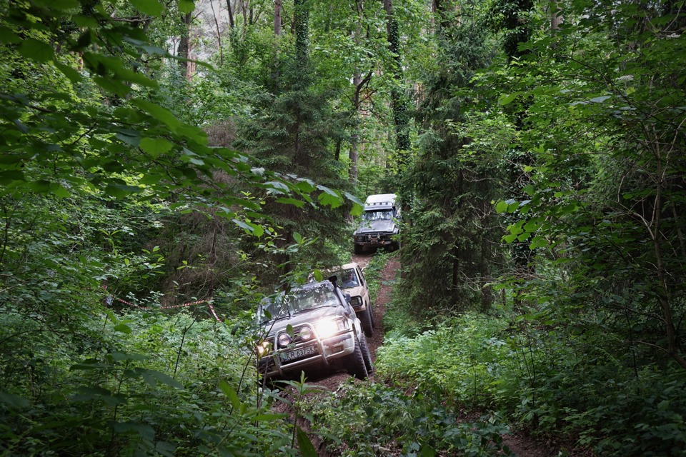 Imprezy plenerowe, pikniki